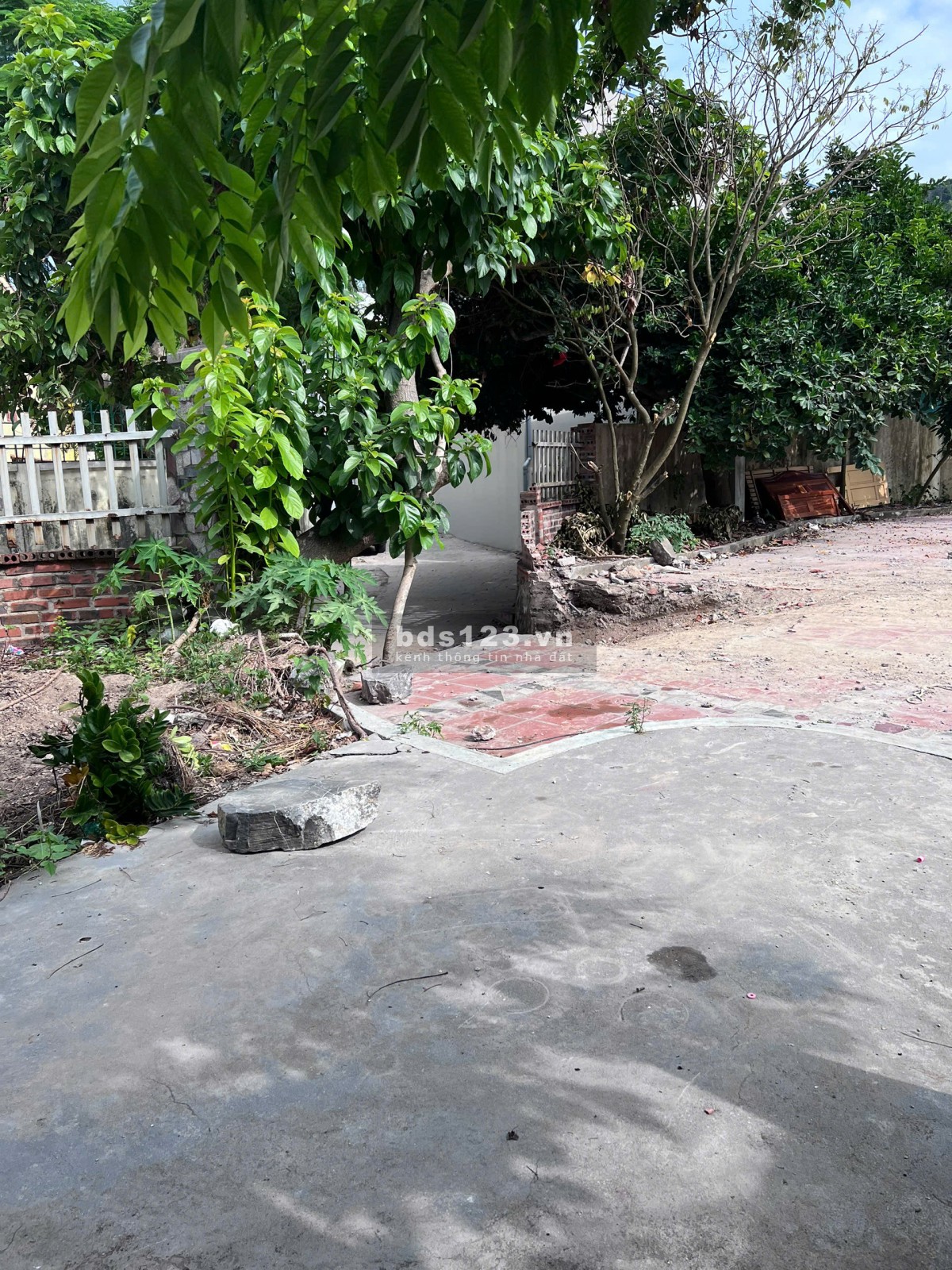 Bán gấp lô góc 8*15 tại trung tâm TT Cát Bà.