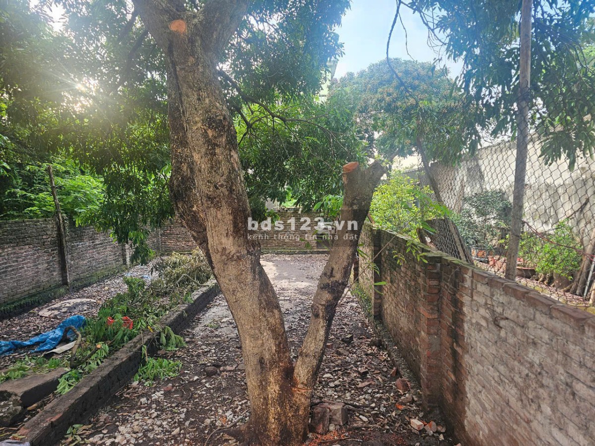 Bán Mảnh Đất 53m² Ngõ Ô Tô Giá 3,15 Tỷ, ĐC: Ngõ 199 Thị…