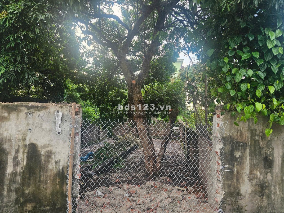 Bán Mảnh Đất 53m² Ngõ Ô Tô Giá 3,15 Tỷ, ĐC: Ngõ 199 Thị…