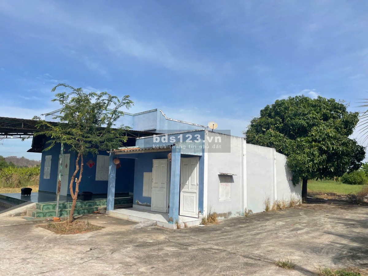 Bán gấp lô đất gần 10.000m² tại Hàm Kiệm – Gần nút giao…