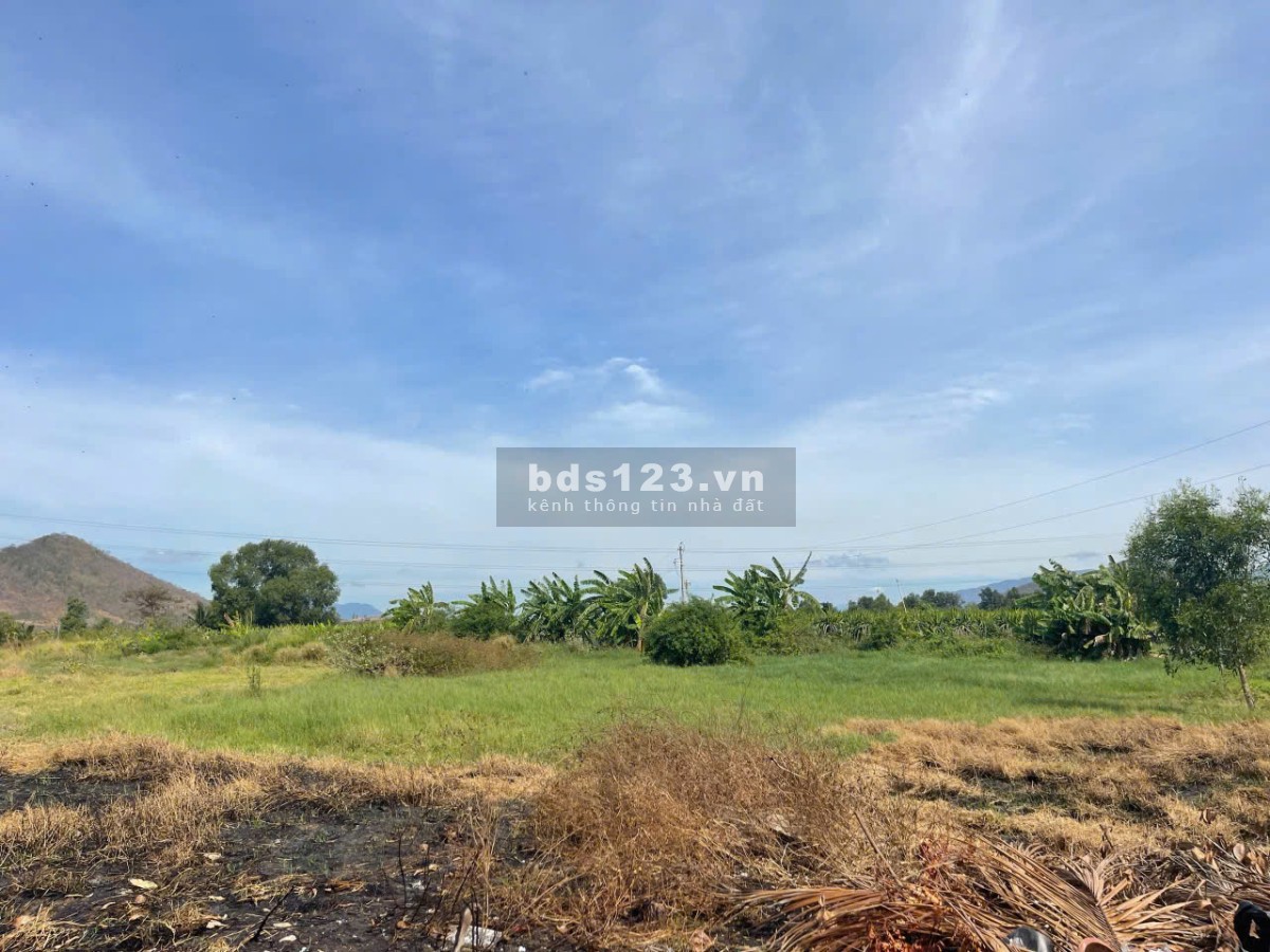 Bán gấp lô đất gần 10.000m² tại Hàm Kiệm – Gần nút giao…