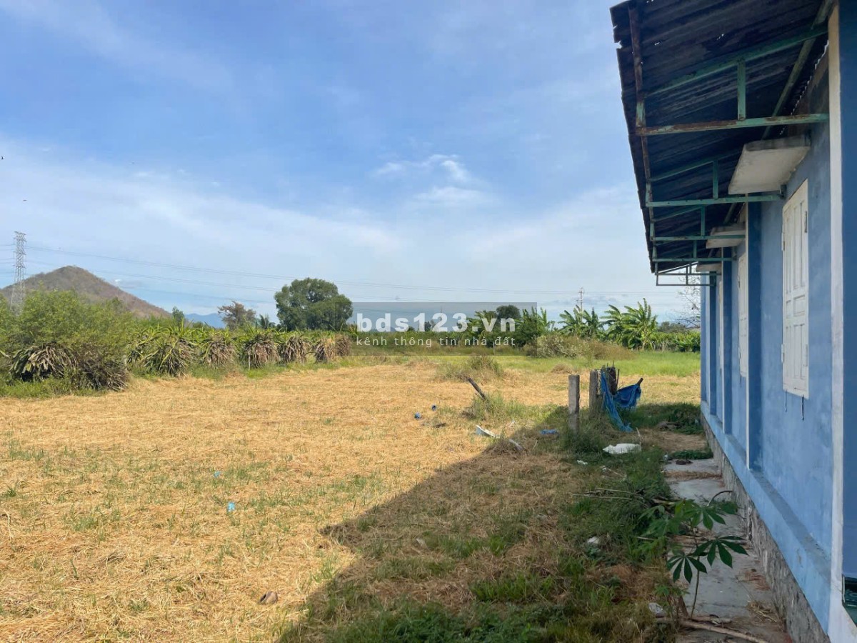 Bán gấp lô đất gần 10.000m² tại Hàm Kiệm – Gần nút giao…