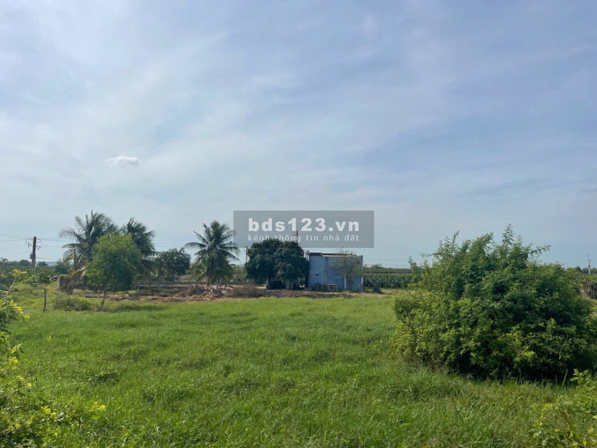 Bán gấp lô đất gần 10.000m² tại Hàm Kiệm – Gần nút giao…