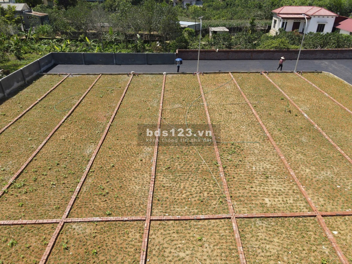 Đầu tư đất nền Phú Thành F0 – Đón sóng tăng giá từ KCN & hạ tầng, chỉ 5xx – Sẵn sổ riêng từng nền