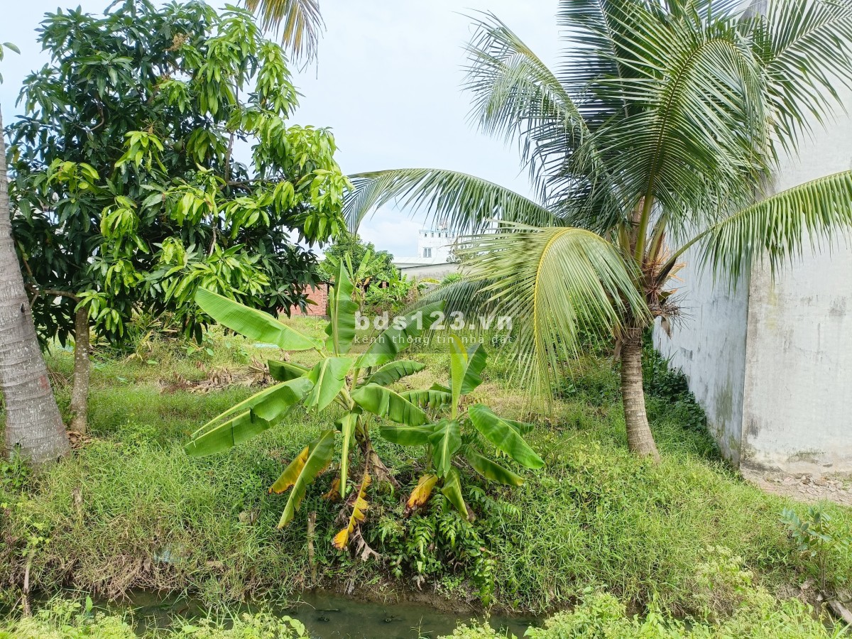 Chính chủ cần bán lô đất full thổ cư tại Đức Hòa - Mỹ…