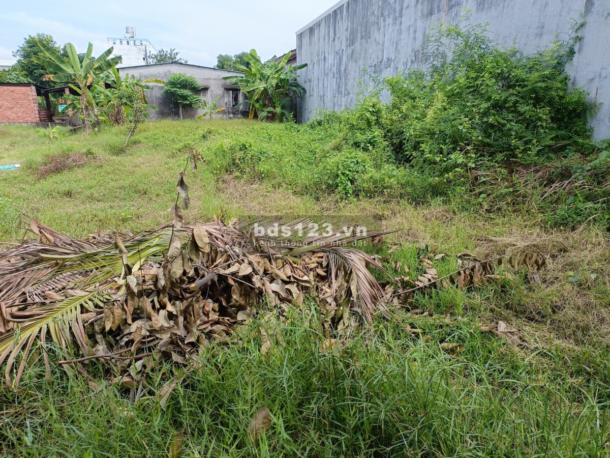 Chính chủ cần bán lô đất full thổ cư tại Đức Hòa - Mỹ…