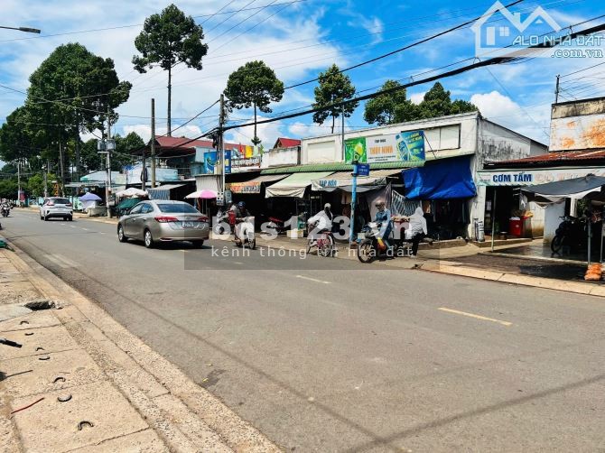 Đất đô thị giá đất trồng cây lâu năm - Cơ hội x3 tài…