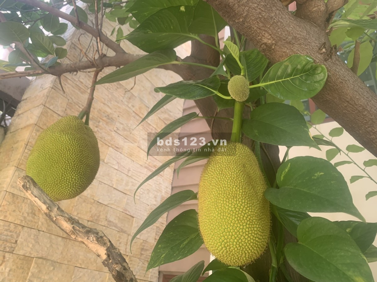 Bán nhà biệt thự mini hiện đại, rất chắc chắn, còn mới,…