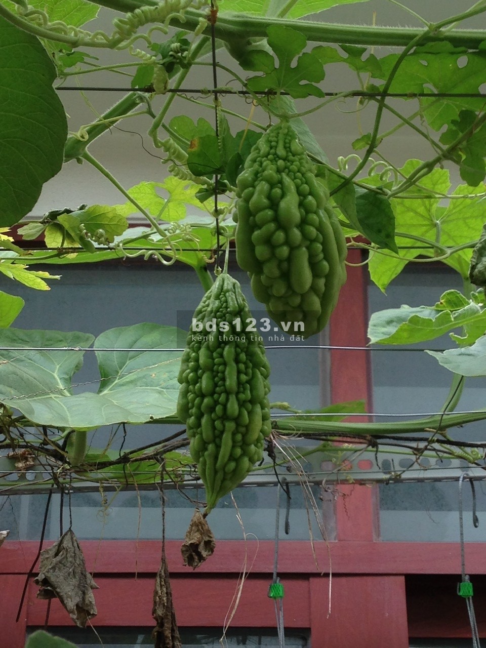Bán nhà biệt thự mini hiện đại, rất chắc chắn, còn mới,…