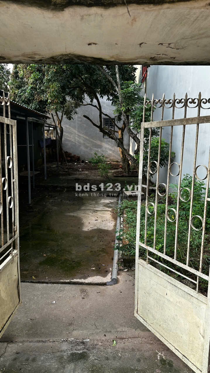 Cho thuê nhà cấp 4 chính chủ vừa nâng cấp, cải tạo, có sân…