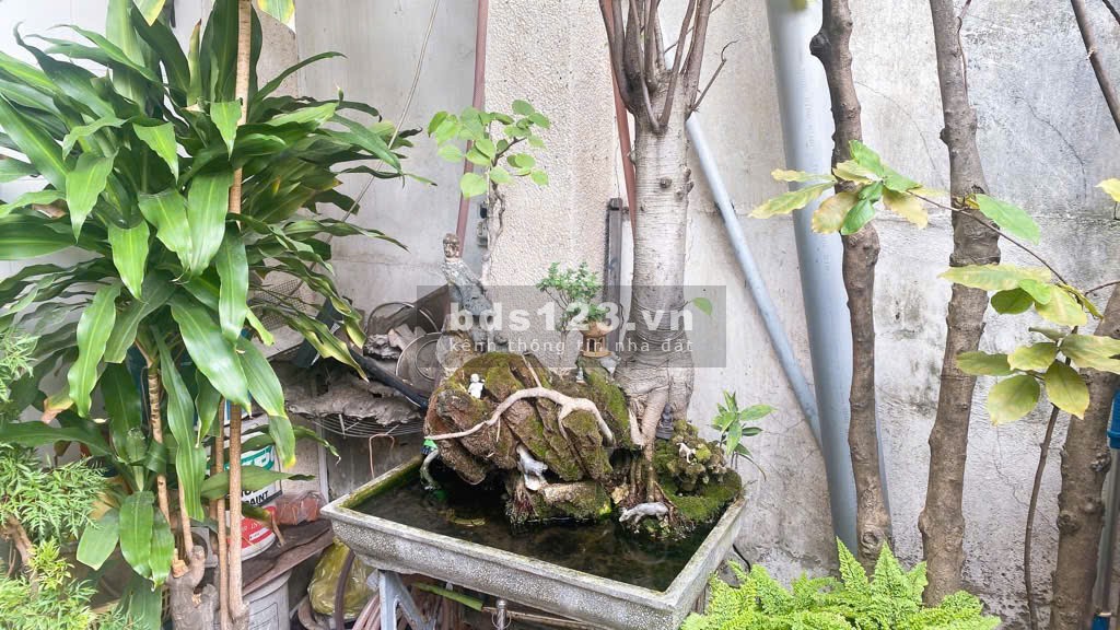 Bán nhà Cách Mạng Tháng Tám, 2 tầng, 90m², P.11, Q.3, vị trí…