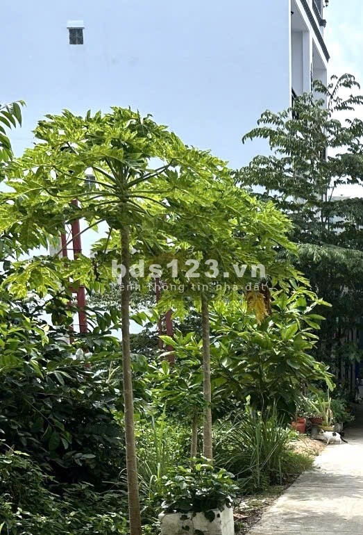 Hiếm – Lô đất full thổ cư, cạnh KDC Anh Tuấn, diện tích…