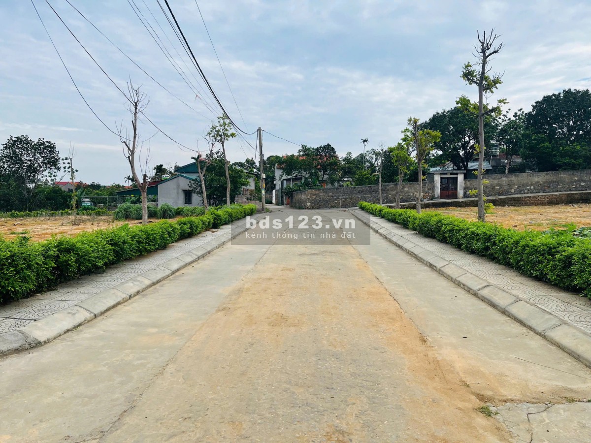 5 lý do nên mua đất tại Phường Mạo Khê (Quảng Ninh) – xem…