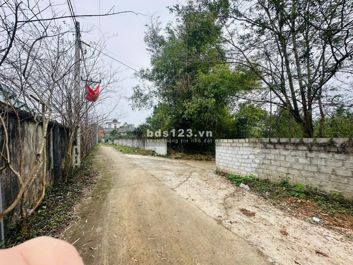 Bán đất 252m2 ở Đường số 21, Xã Nhuận Trạch, Lương Sơn,…