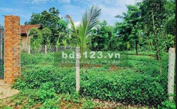 Chính chủ bán vườn 2500m2 có nhà cấp 4 ngay UBND Tân Hiệp -…