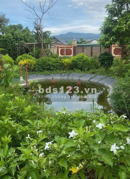 Chính chủ bán đất tặng nhà vườn Hòa Bình - sổ đỏ thổ cư