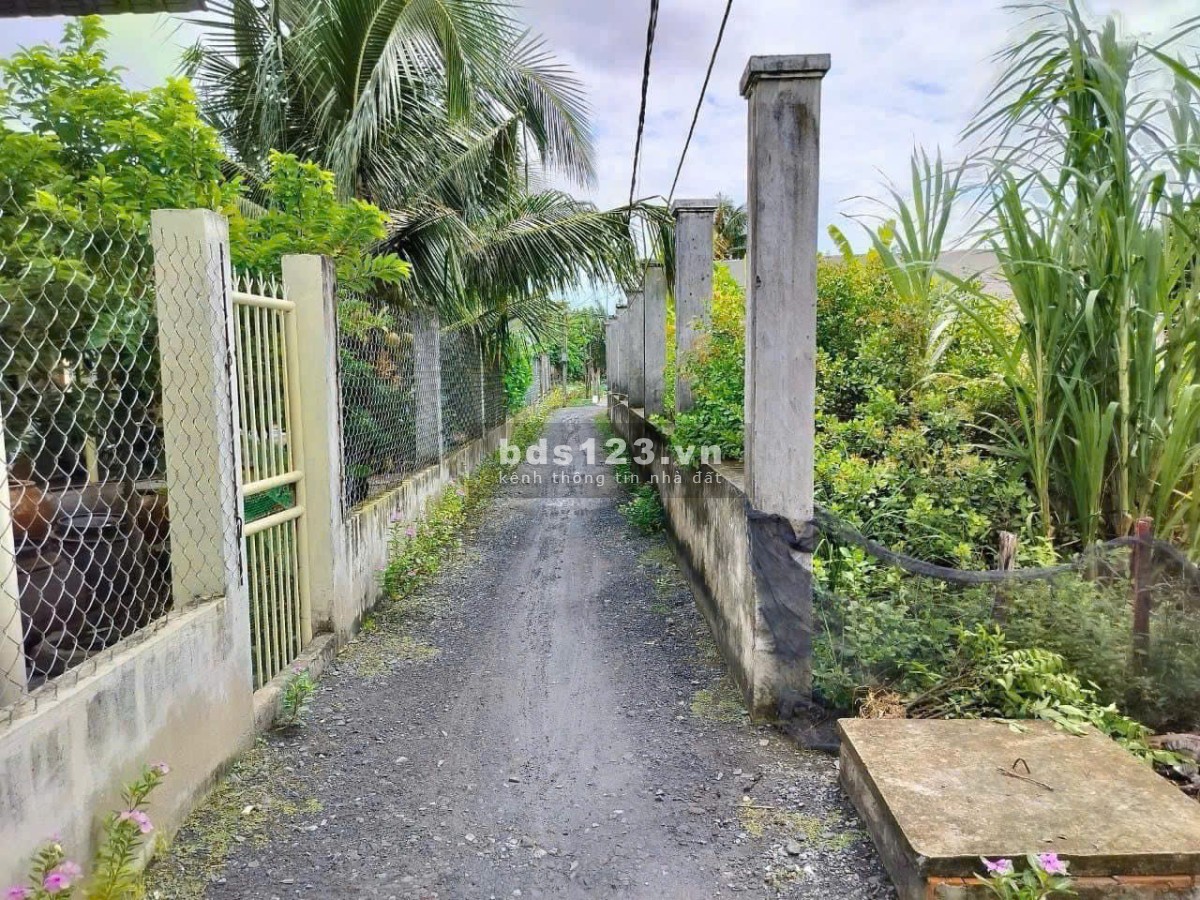 Hơn 110 m2 ONT SHR Cần Đước giá tốt cho anh chị