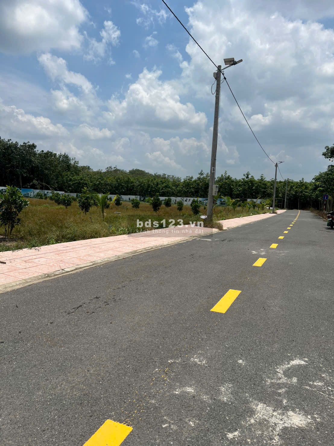 Chú Năm cần bán gấp trả nợ ngân hàng, Bình Dương DT 300m2…