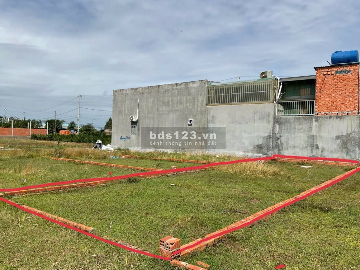Bán đất chính chủ – Đường Bàu Muồng, Mỹ Hạnh Nam – Long An