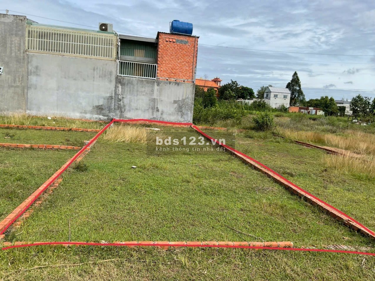 Bán đất chính chủ – Đường Bàu Muồng, Mỹ Hạnh Nam – Long An