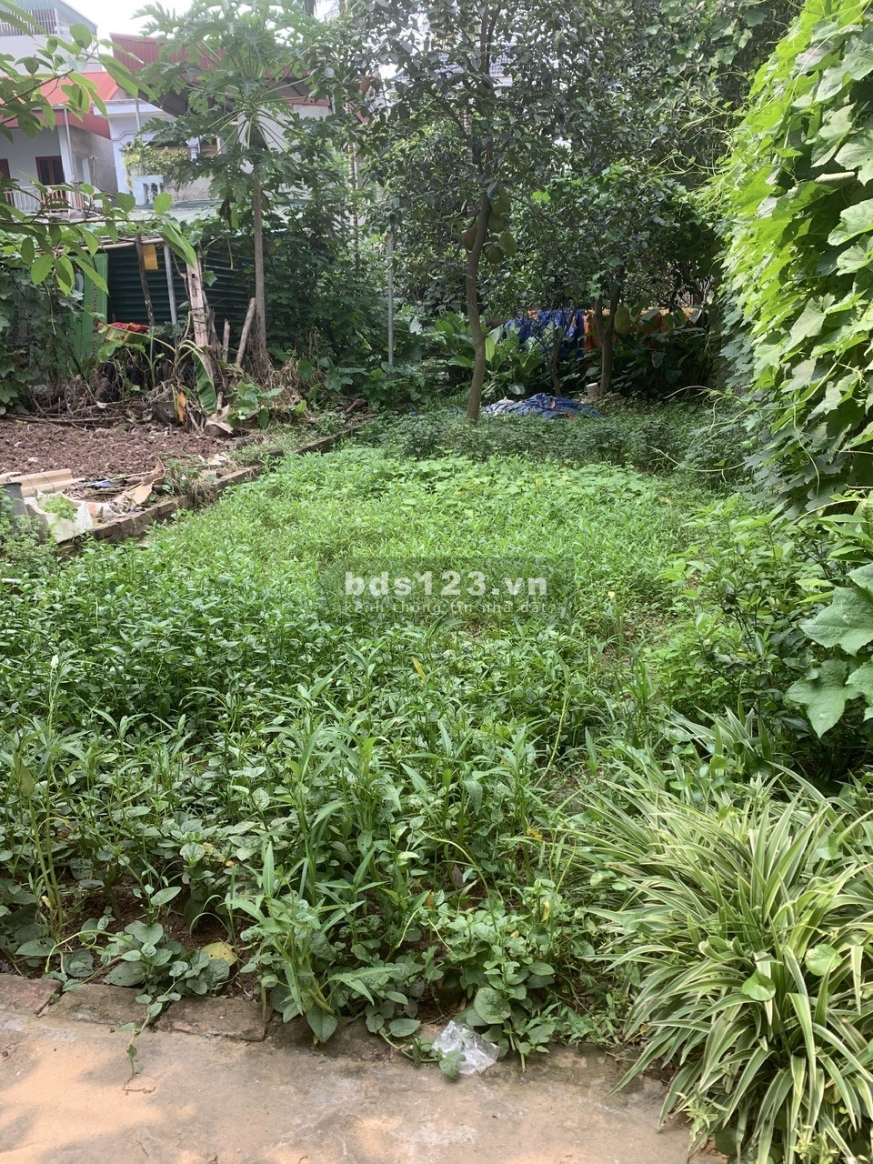 Chính chủ cần bán đất tại ngõ 1144/96, Quang Trung, Phường Yên Nghĩa, Hà Đông