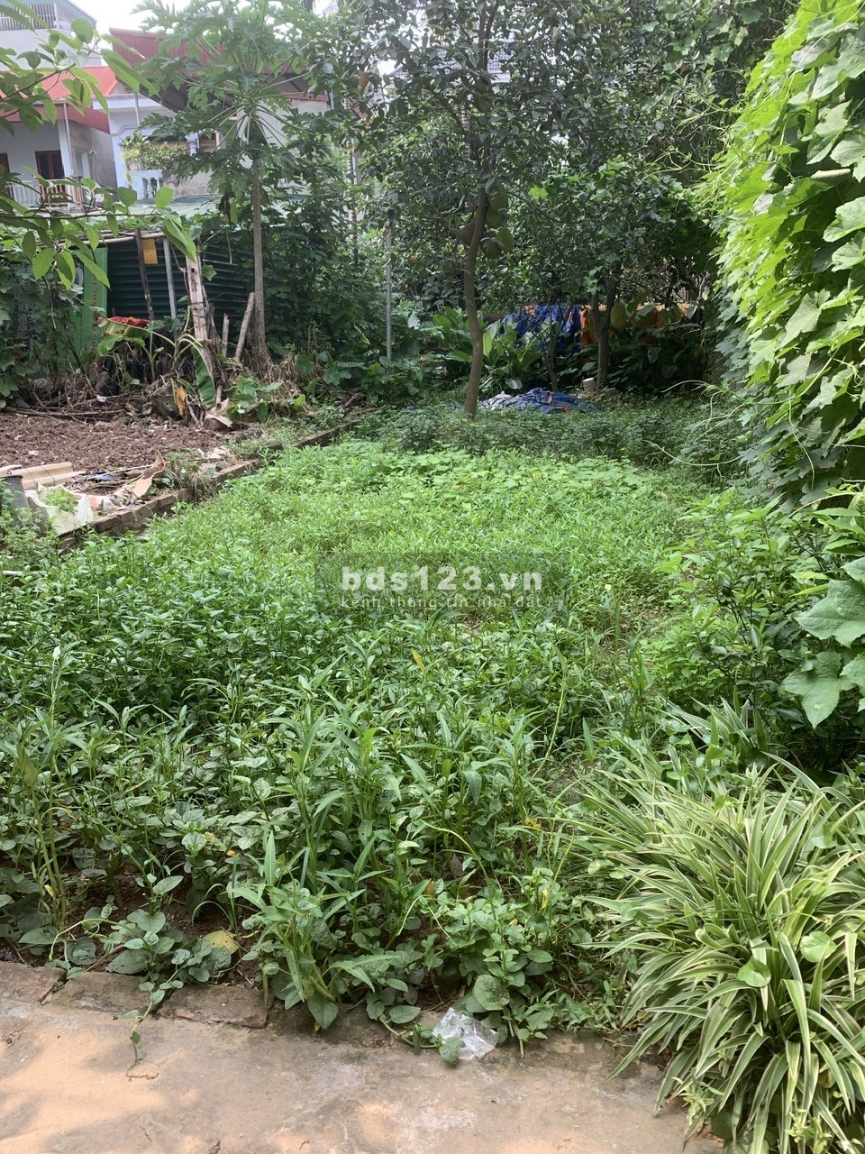 Chính chủ cần bán đất tại ngõ 1144/96, Quang Trung, Phường Yên Nghĩa, Hà Đông