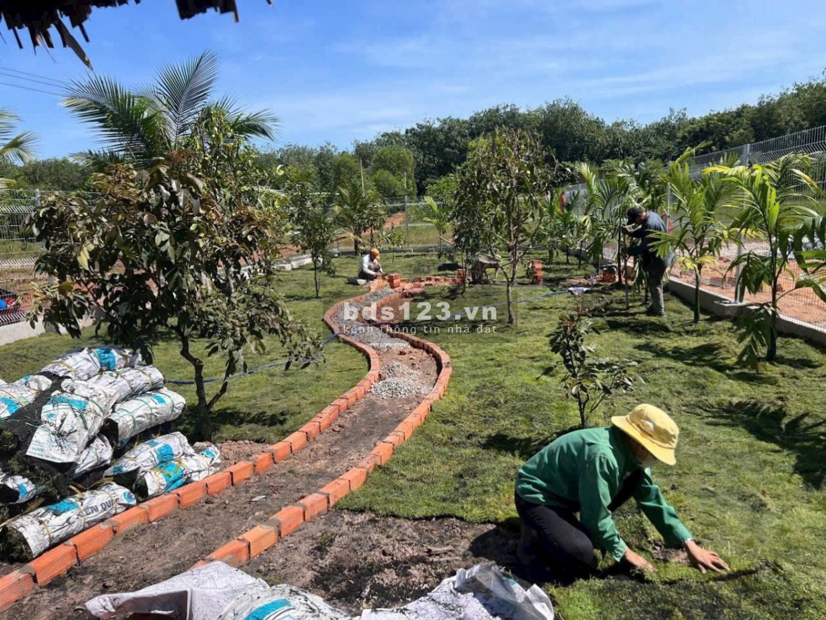 Đất đẹp giá tốt – ĐT750, Dầu Tiếng, Bình Dương