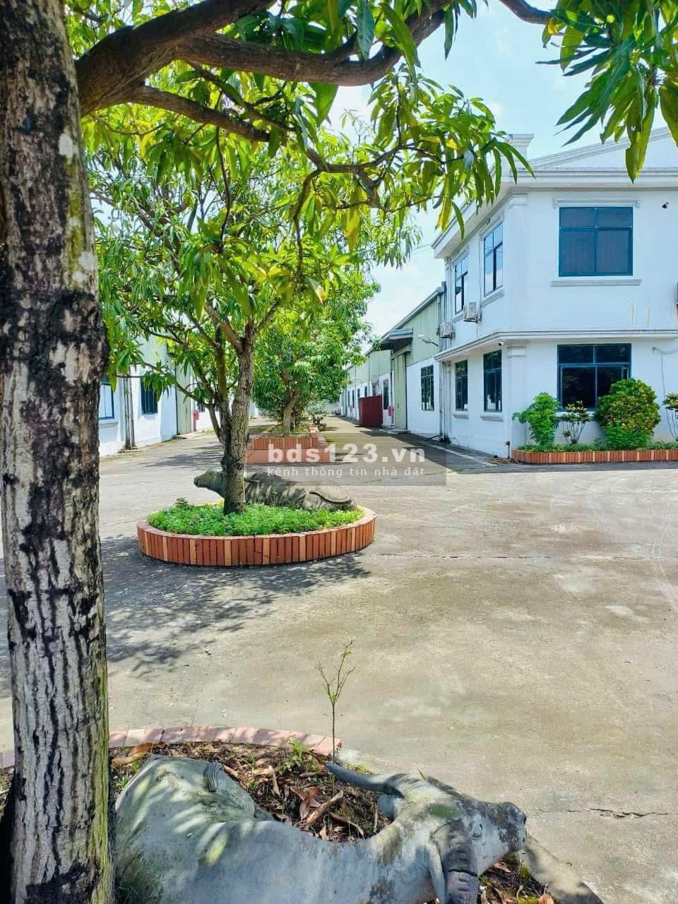 Bán nhà máy + Đất 9.907m² ngay trung tâm TP. Nam Định