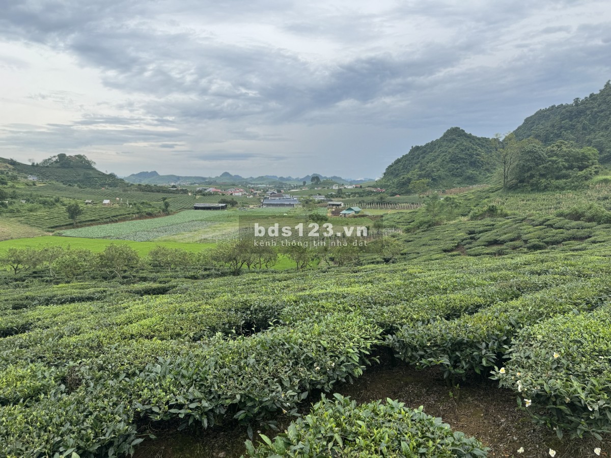 Cơ Hội Đầu Tư – Đất Vàng Chiềng Đi