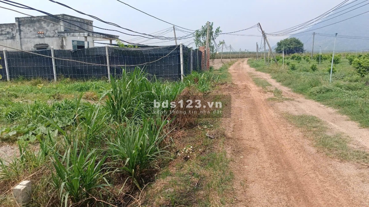 Kẹt tiền cần bán gấp chính chủ thương lượng