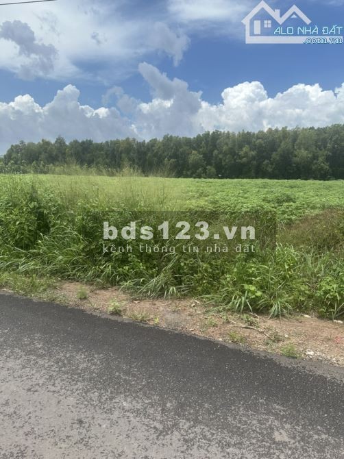 Bán Đất Mặt tiền Kinh Doanh Kho Xưởng DH504, diện tích 2435m2,…