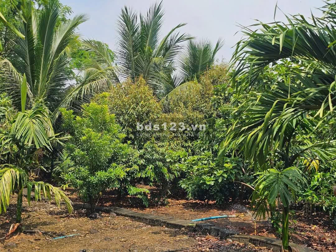 Bán Đất Thổ Vườn có nhà cấp 4, rộng 2540m2, Giá rẻ 600…