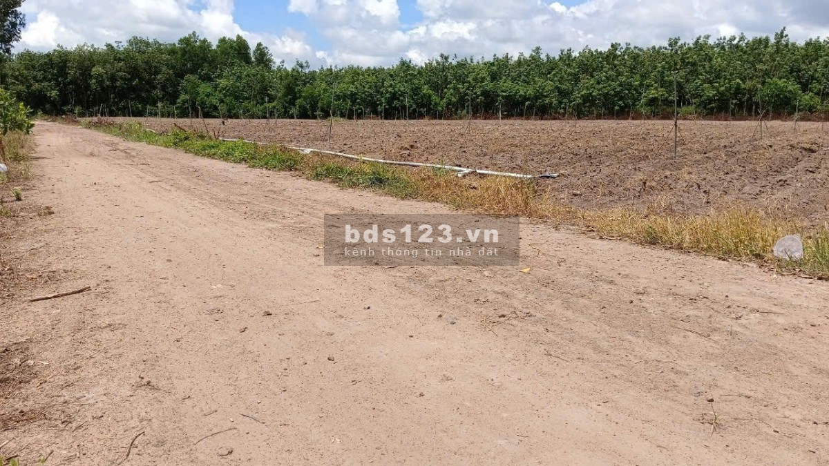 Chính chủ kẹt tiền – Bán gấp 7 lô đất trung tâm Tân Châu…