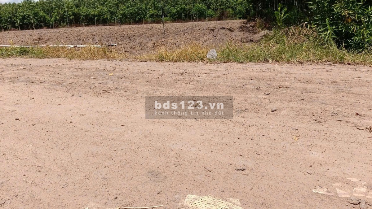 Chính chủ kẹt tiền – Bán gấp 7 lô đất trung tâm Tân Châu…