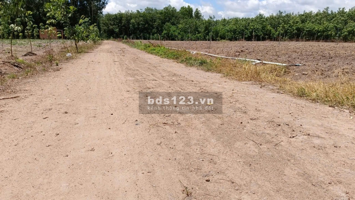 Chính chủ kẹt tiền – Bán gấp 7 lô đất trung tâm Tân Châu…