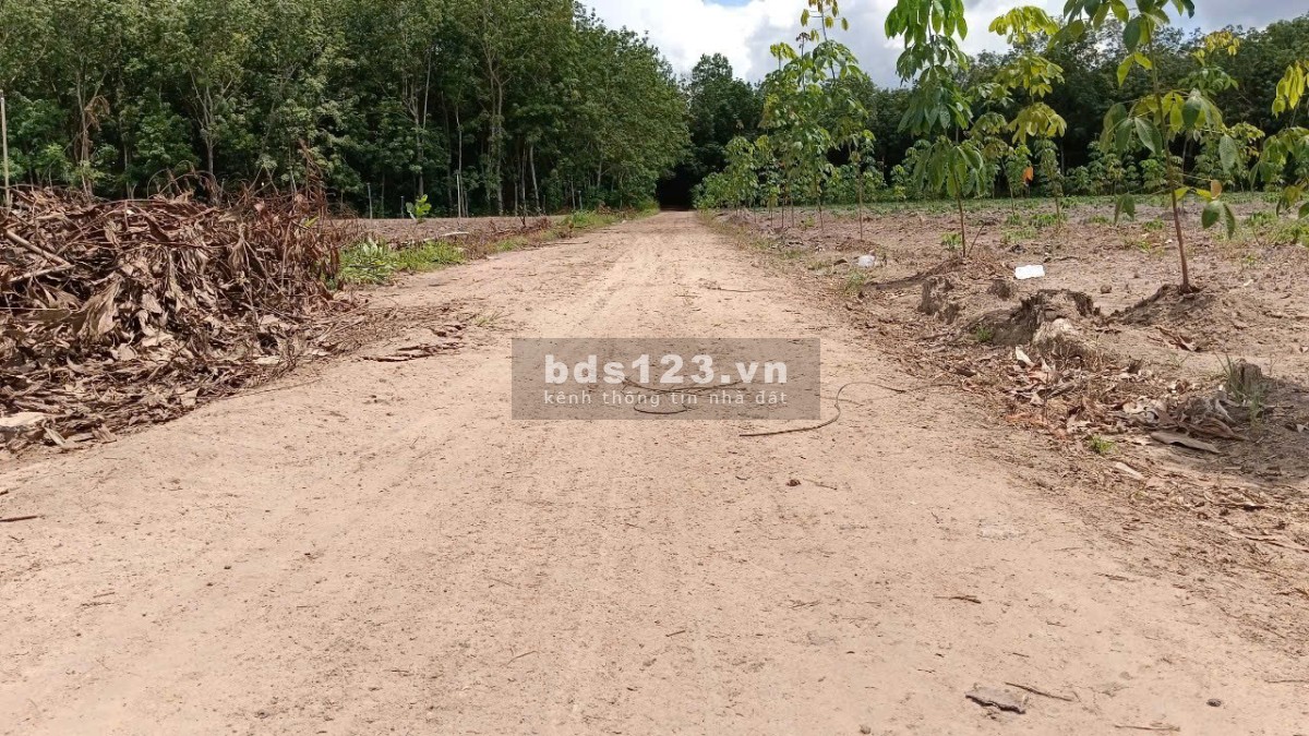 Chính chủ kẹt tiền – Bán gấp 7 lô đất trung tâm Tân Châu…