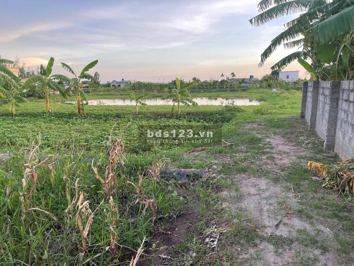 Bán đất Nam Thịnh Tiền Hải Thái Bình (Hưng Yên Mới)