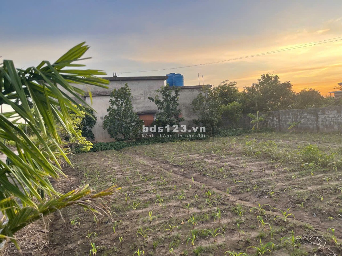 Bán đất Nam Thịnh Tiền Hải Thái Bình (Hưng Yên Mới)