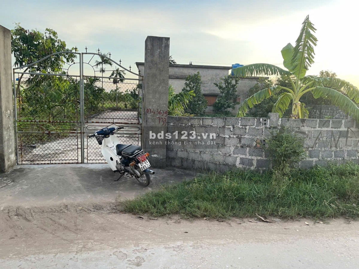 Bán đất Nam Thịnh Tiền Hải Thái Bình (Hưng Yên Mới)