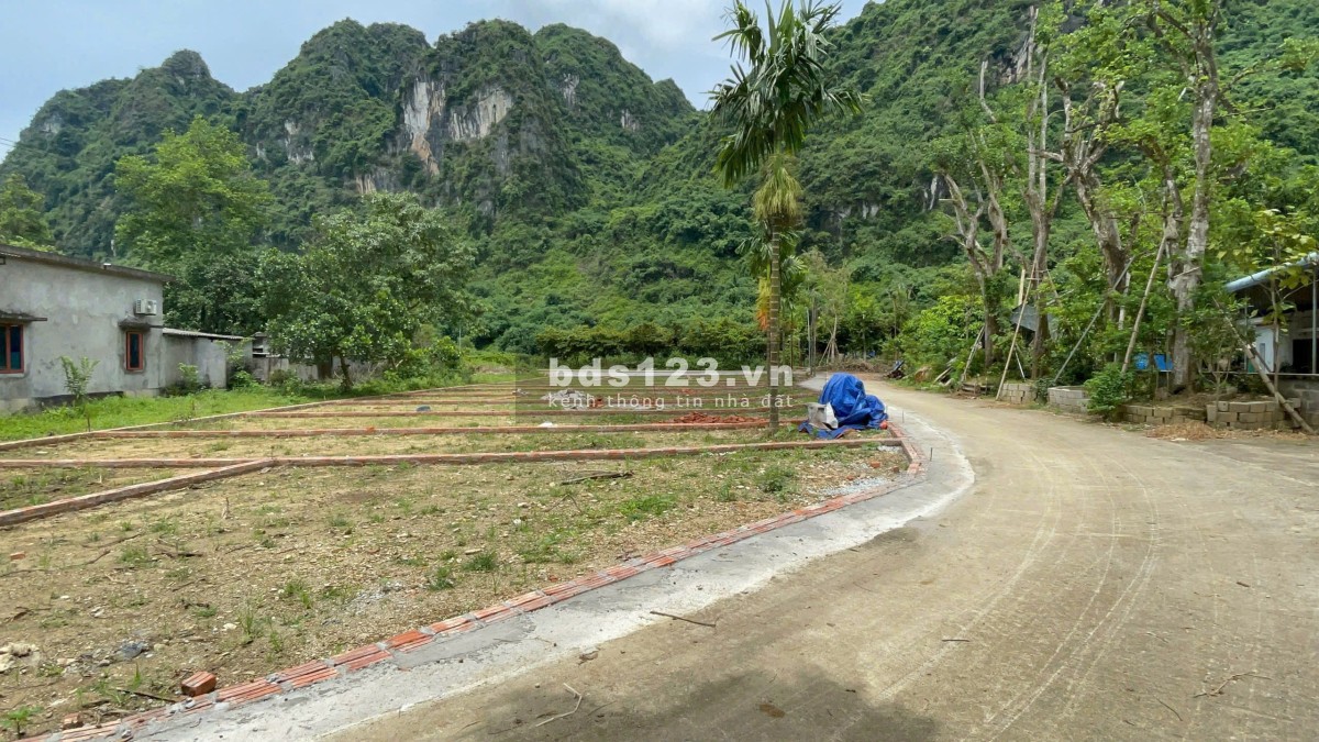Đất nền gần KCN Thanh Sơn – Chỉ từ 3xx triệu/nền