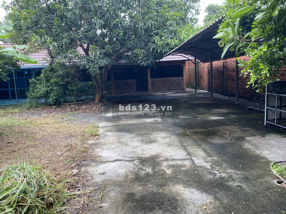 CHO THUÊ MẶT BẰNG SÂN VƯỜN thuận tiện kinh doanh quán ăn, quán nhậu ngay trung tâm chợ Phường 3