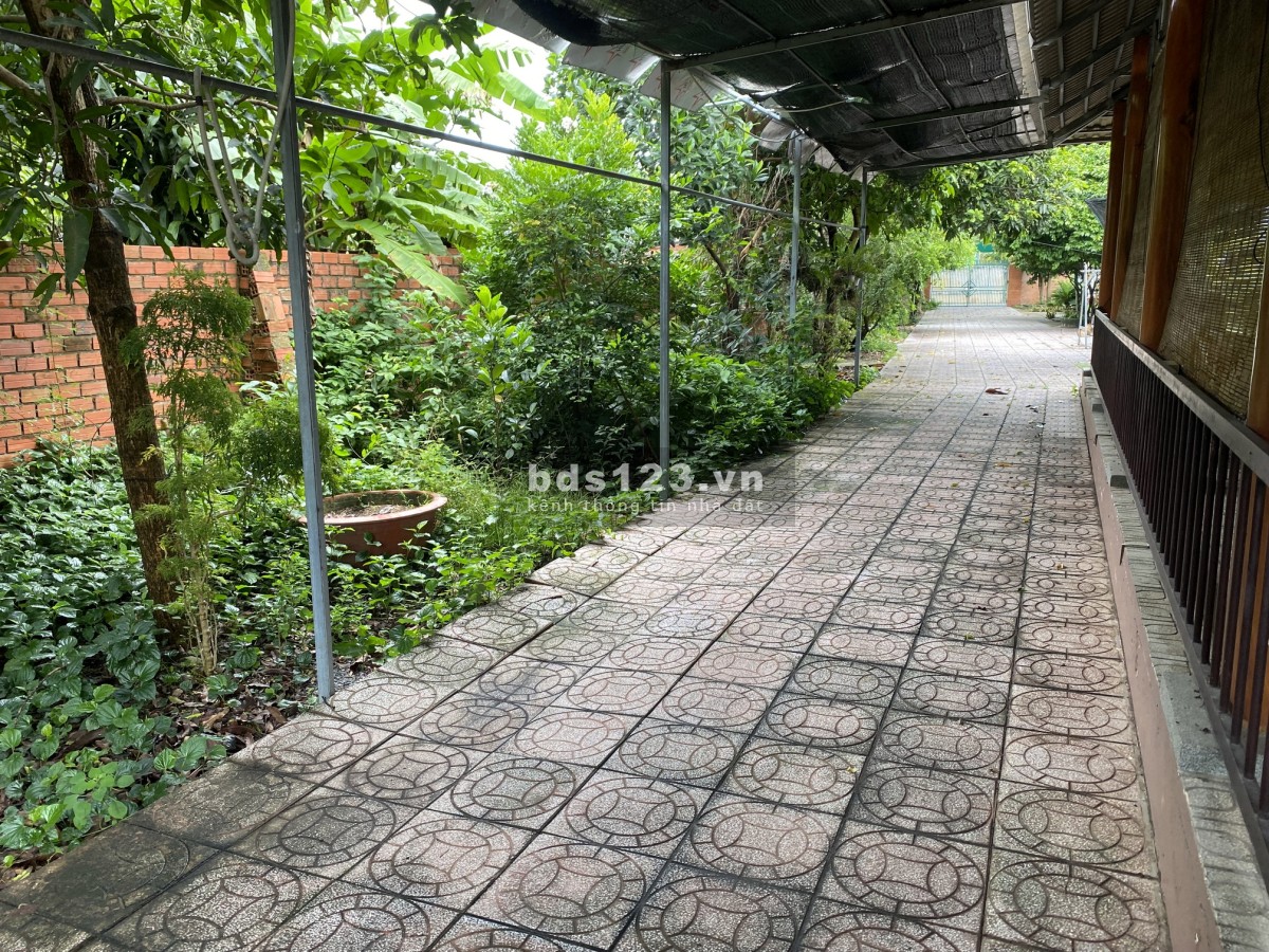 CHO THUÊ MẶT BẰNG SÂN VƯỜN thuận tiện kinh doanh quán ăn, quán nhậu ngay trung tâm chợ Phường 3