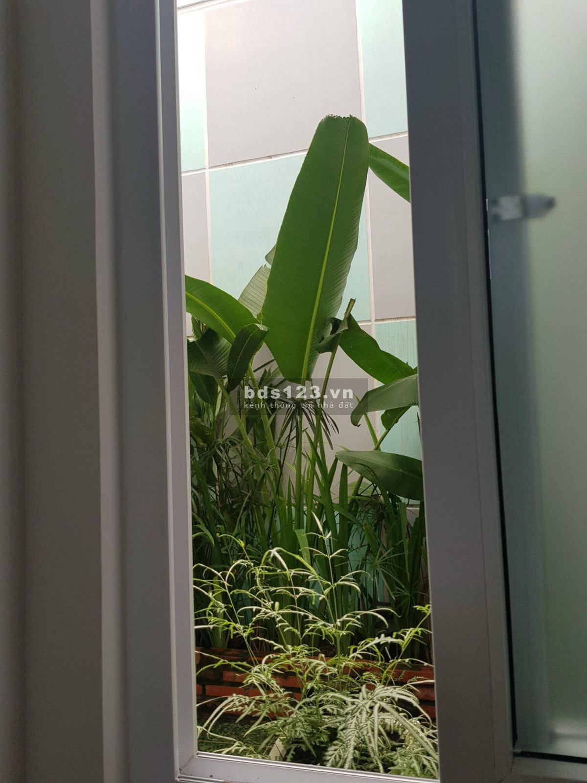 Cần bán nhà trung tâm Phạm Ngọc Thạch Phan Thiết