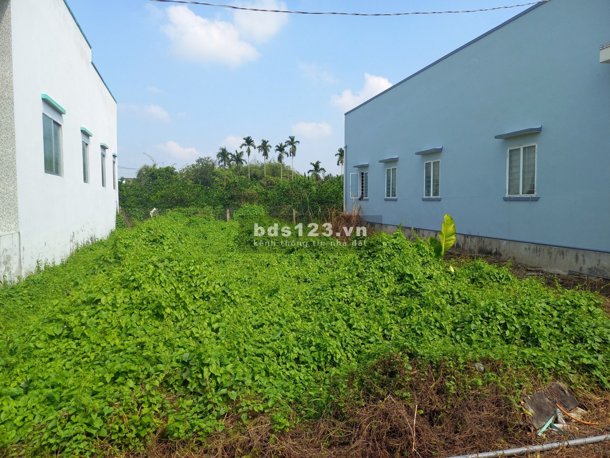 Sang đất nền lọt khe Bến Lức, sổ hồng riêng chính chủ