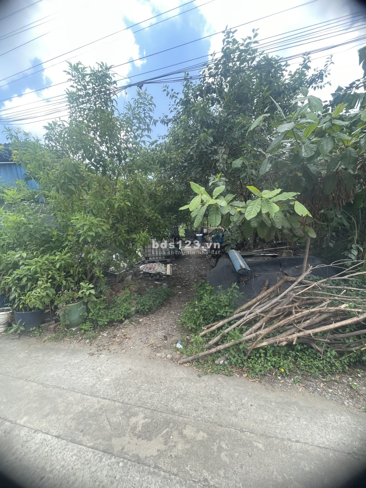 Bán Lô Đất HXH Rẻ Nhất Trường Thọ, Thủ Đức. 163m-7t