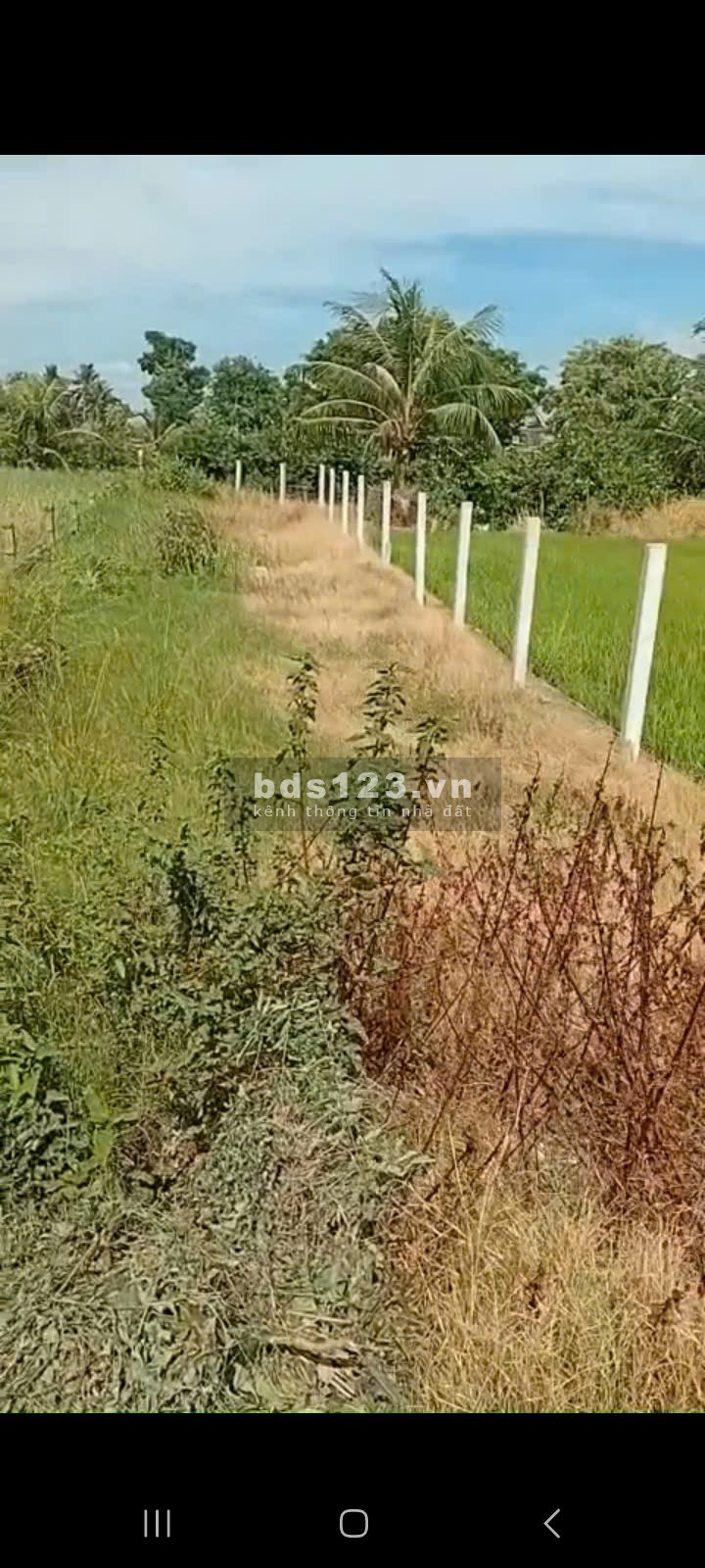 Chính Chủ Bán Gấp Đất Mặt Tiền Trung Tâm Cần Đước