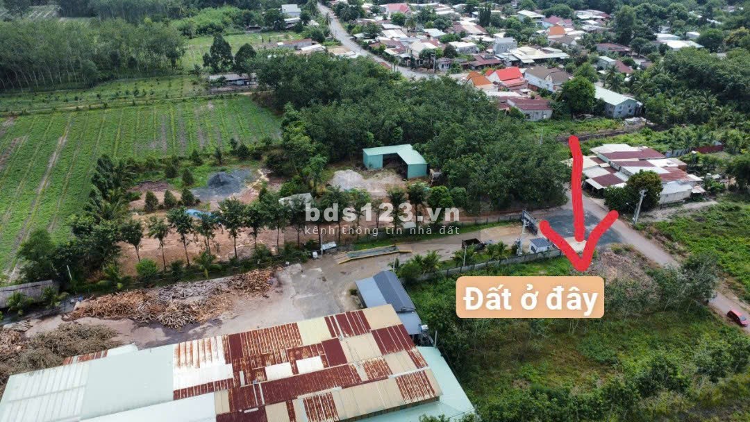 Bán Đất Minh Hoà Dầu Tiếng liền kề dân cư 600m2 giá chỉ 300tr
