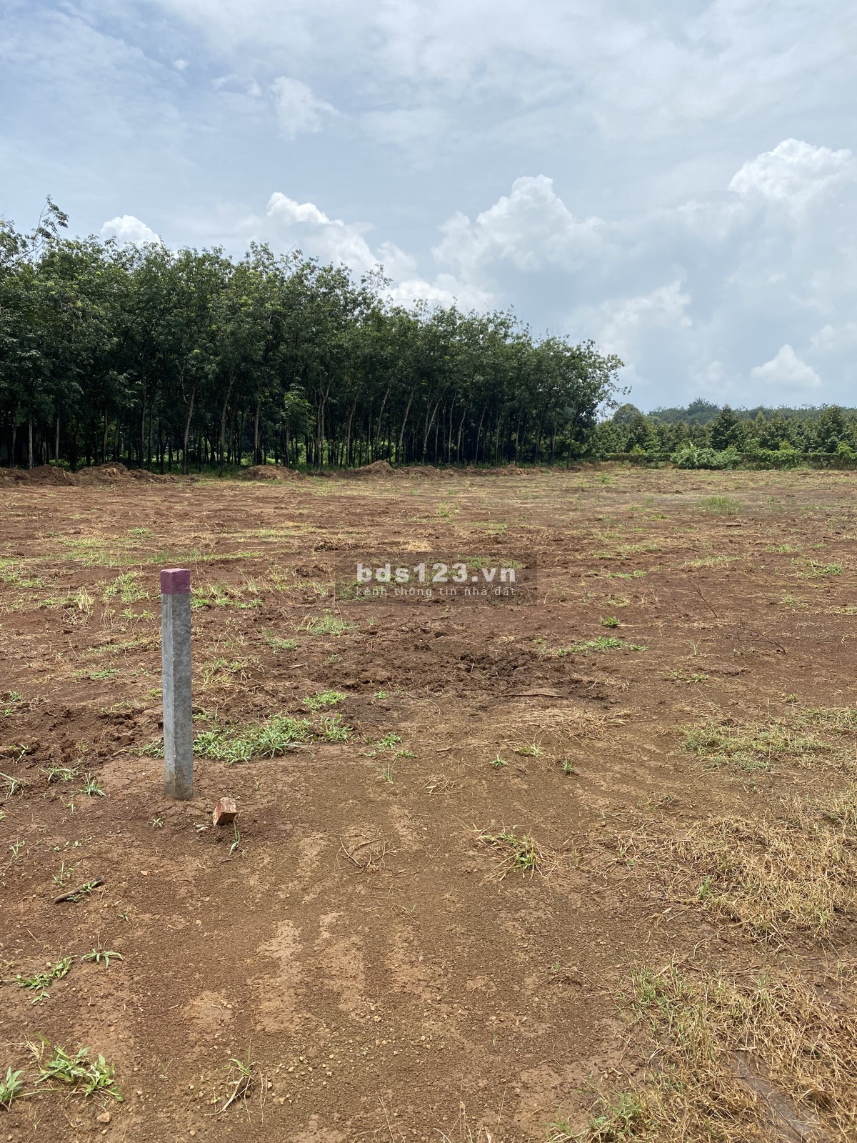 Đất Nền Giá Tốt Long Hà – Sổ Riêng, Sang Tên Trong Ngày