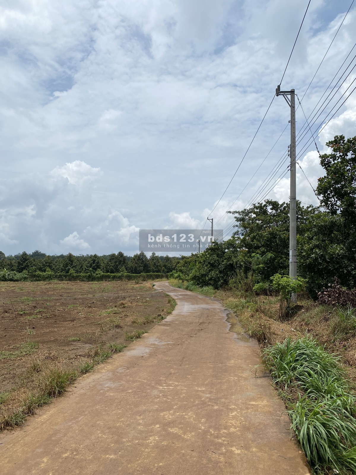 Đất Nền Giá Tốt Long Hà – Sổ Riêng, Sang Tên Trong Ngày