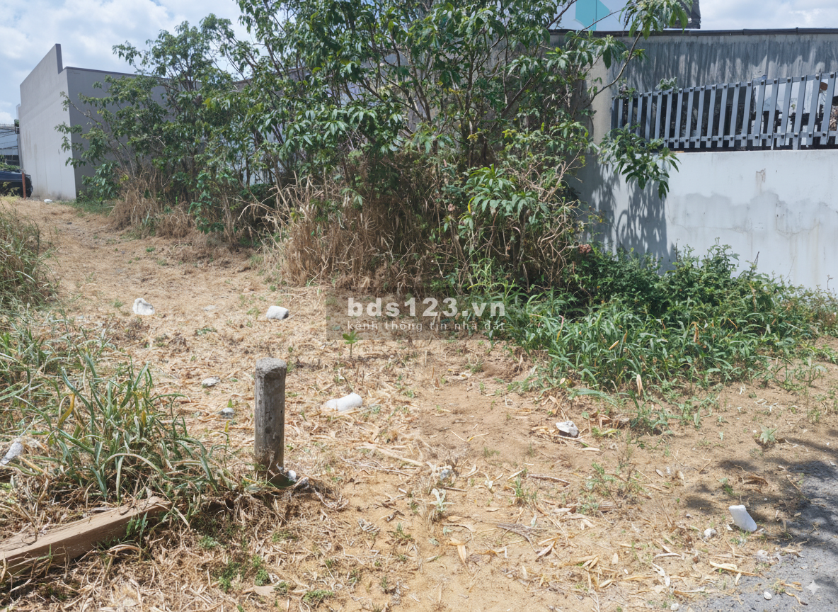 CHÍNH CHỦ BÁN ĐẤT THỔ CƯ 97m² SỔ HỒNG RIÊNG - Cần Giuộc,…